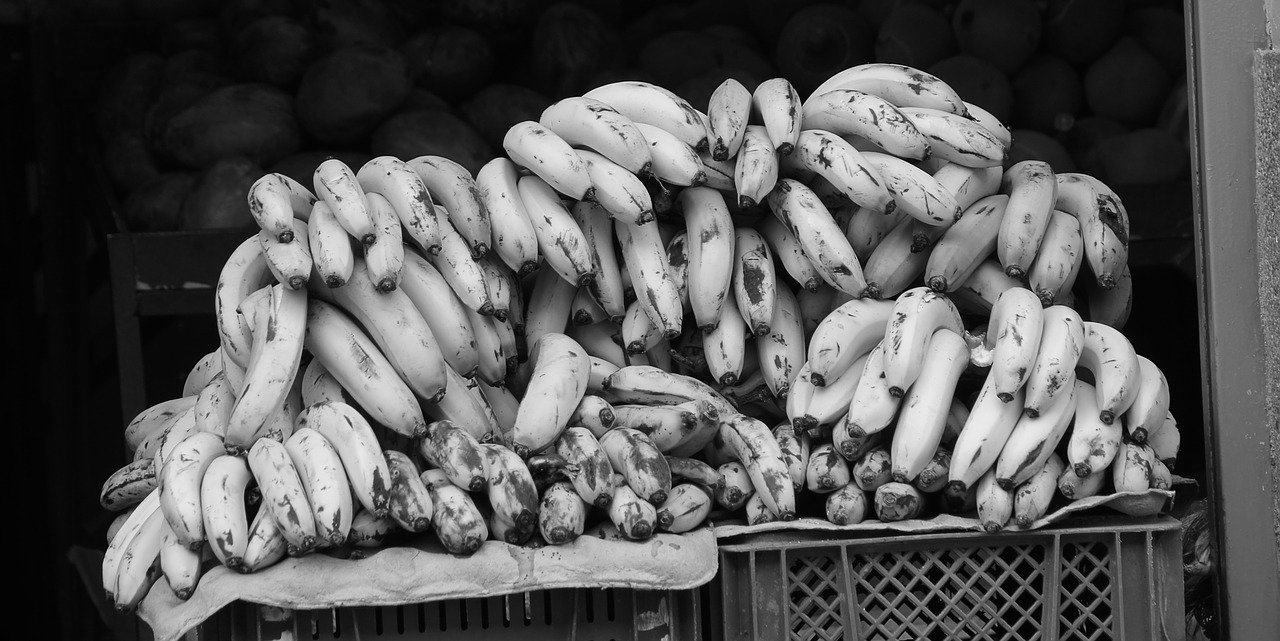 black and white fruit bananas free photo