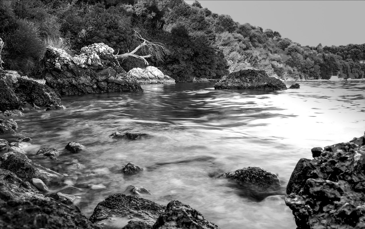 black and white landscape sea free photo