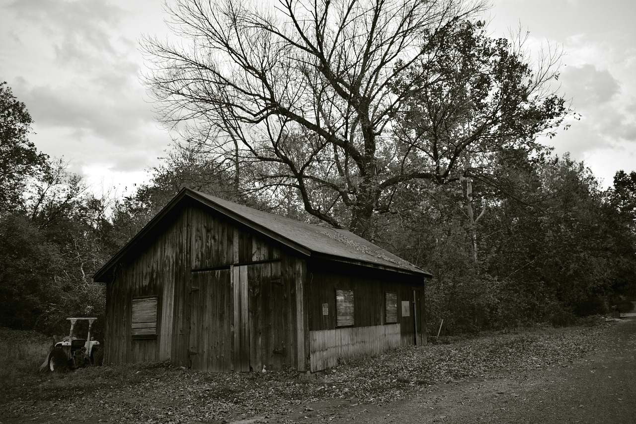 black and white barn farm free photo