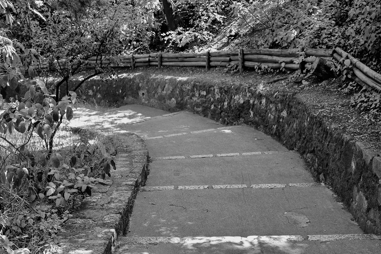 black and white  path  staircase free photo