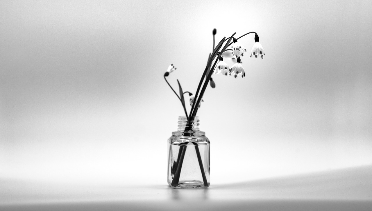 black and white  monochrome  vase free photo