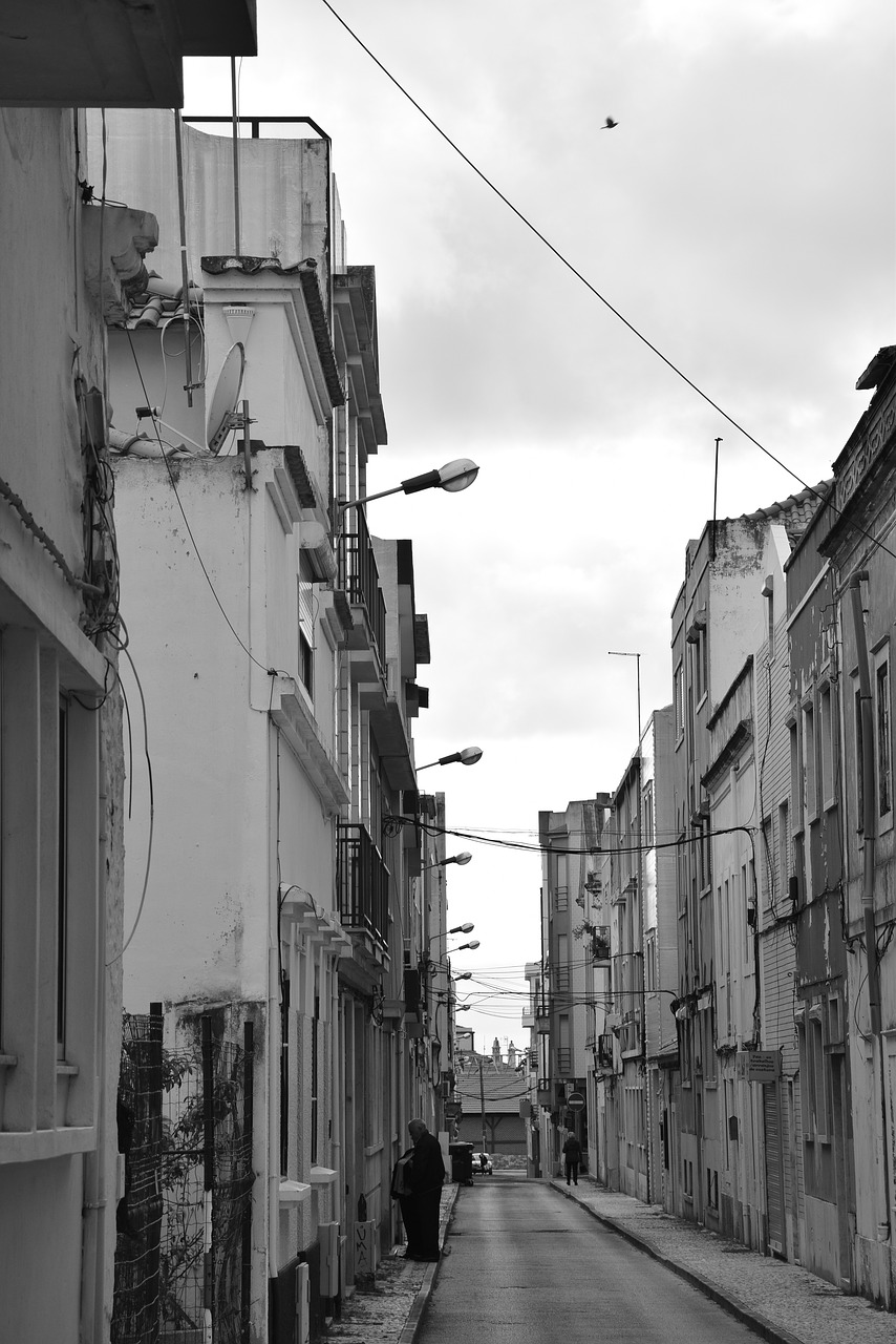 black and white  city  street free photo
