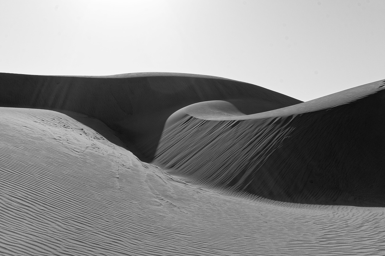 black and white  sand  dunes free photo