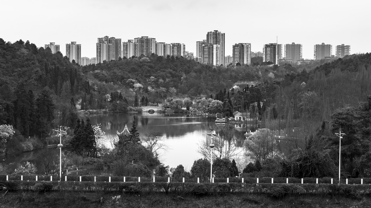 black and white  lake  building free photo