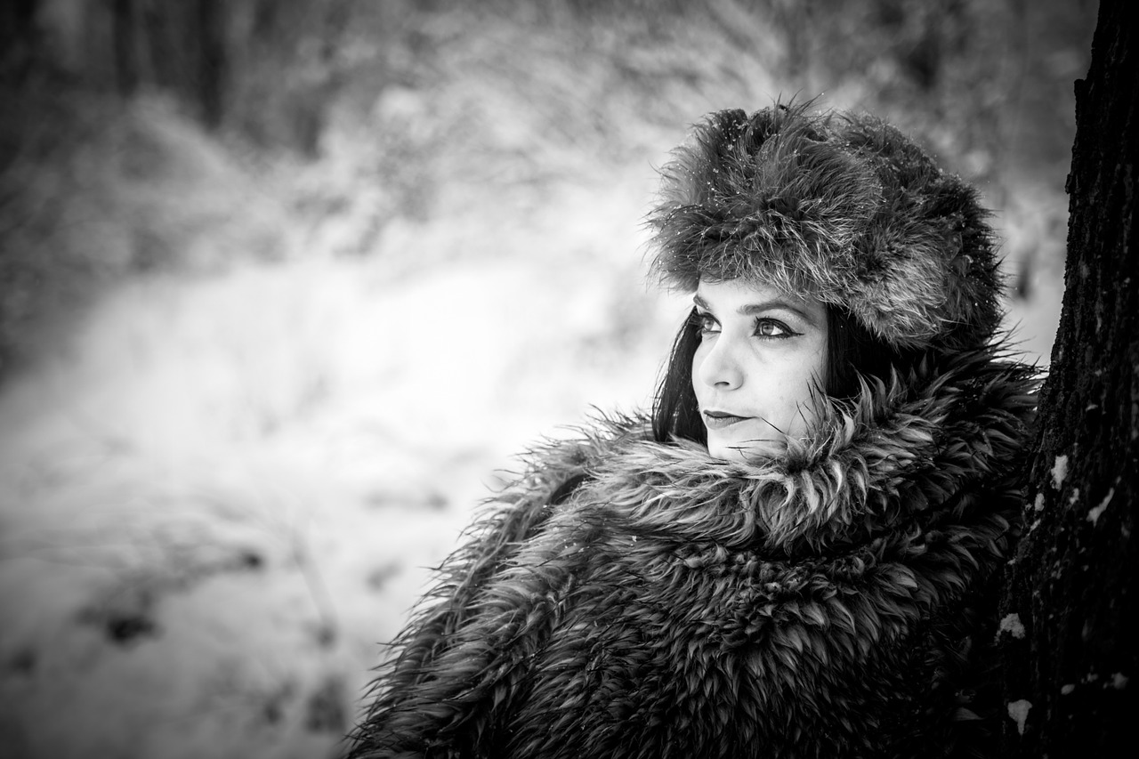 black and white photography winter free photo