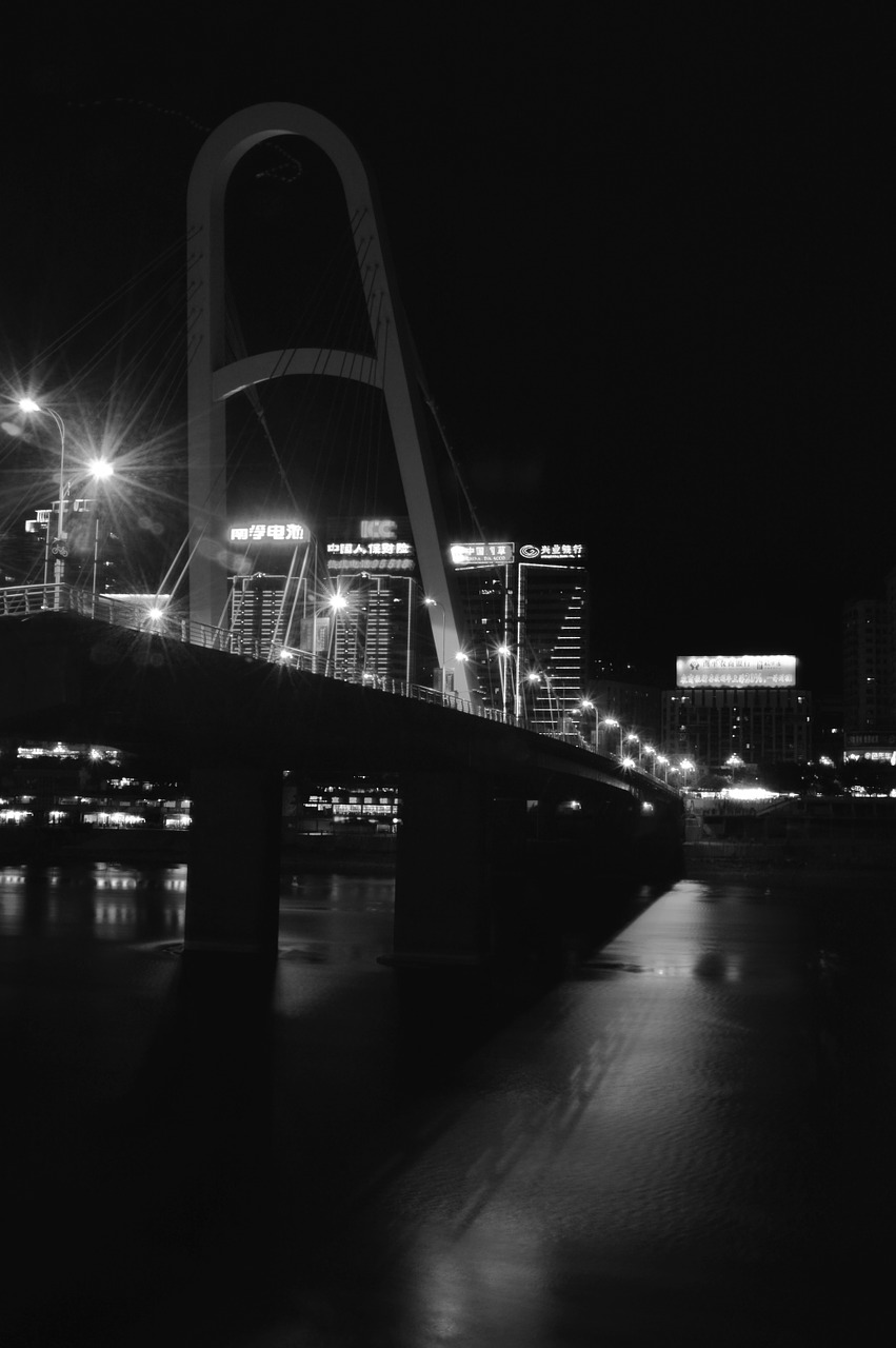 black and white bridge night view free photo