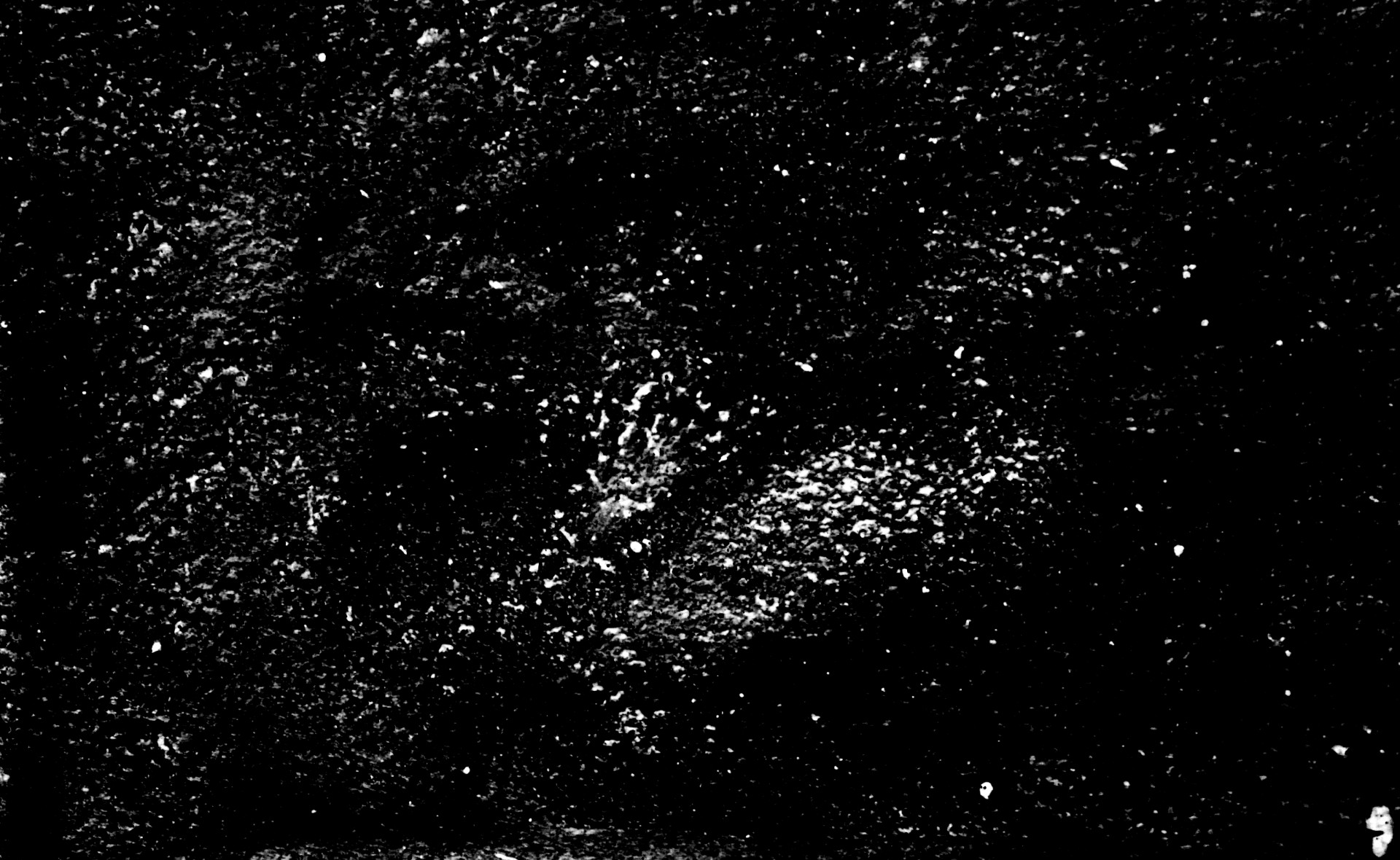 black white background black white background free photo