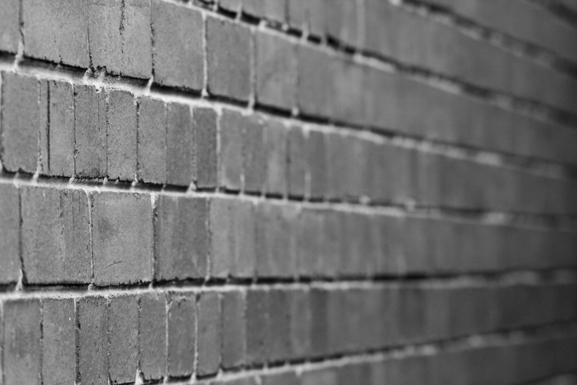 wall brick black & white free photo