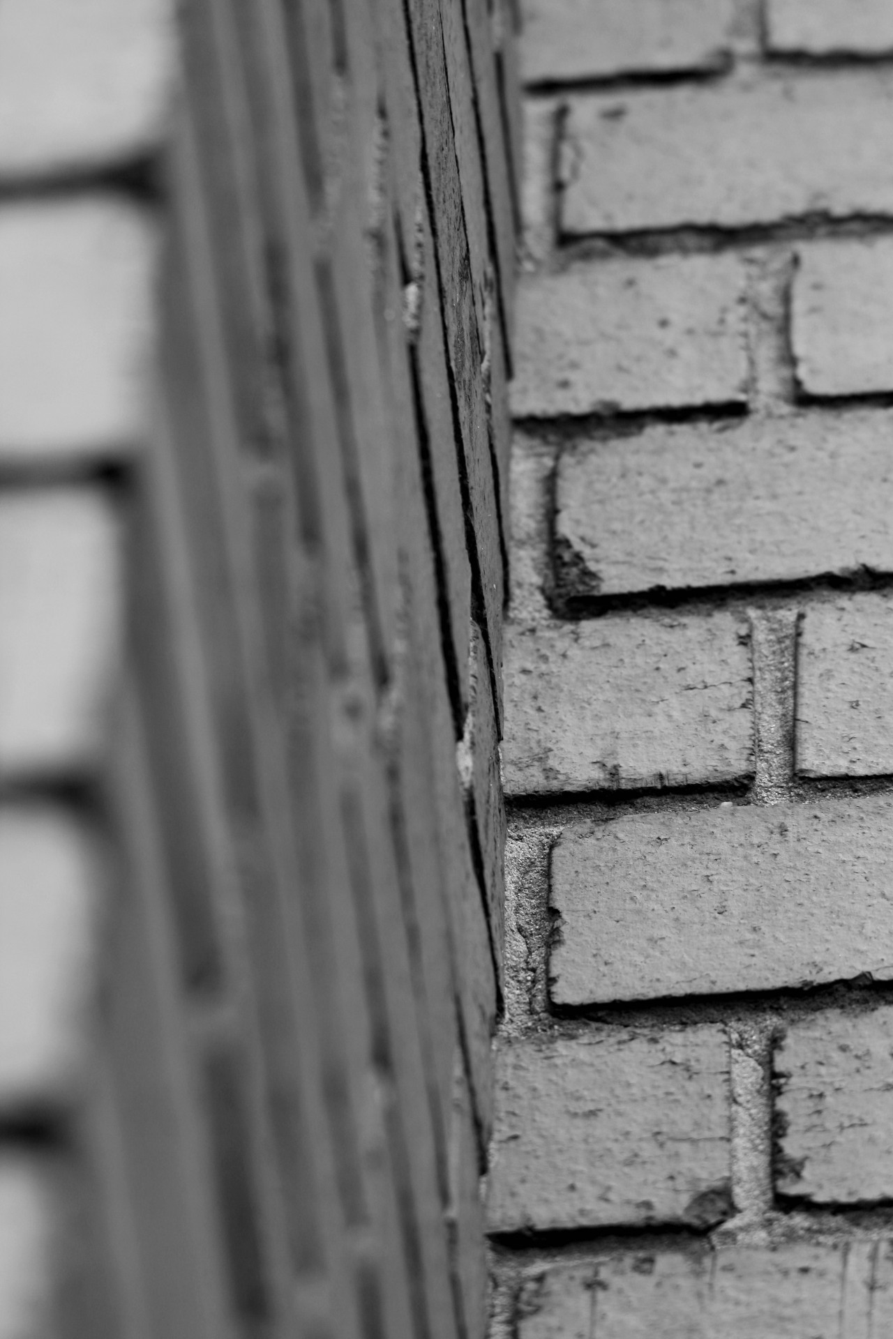 wall brick black & white free photo