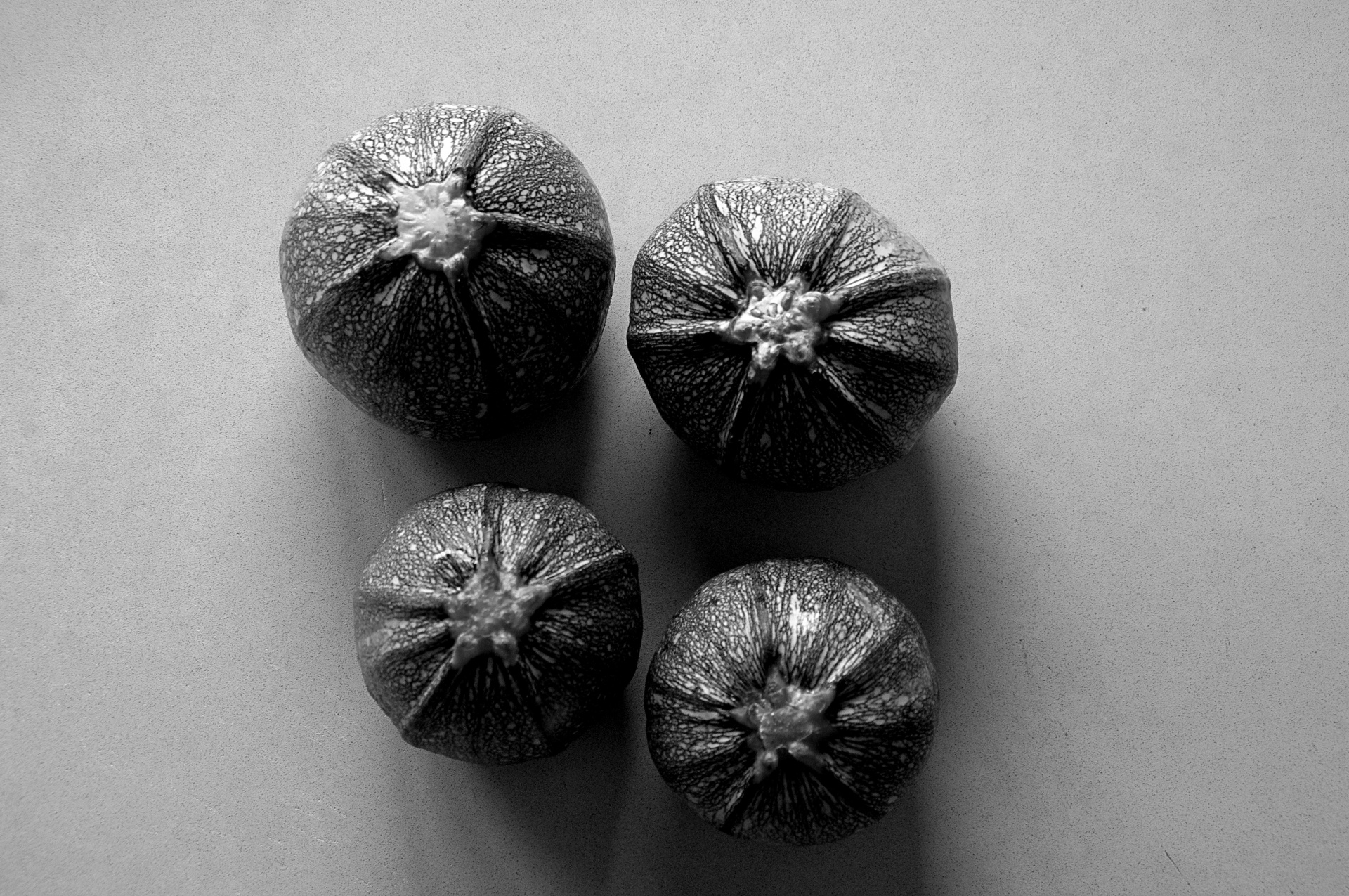 black white courgettes zucchini free photo