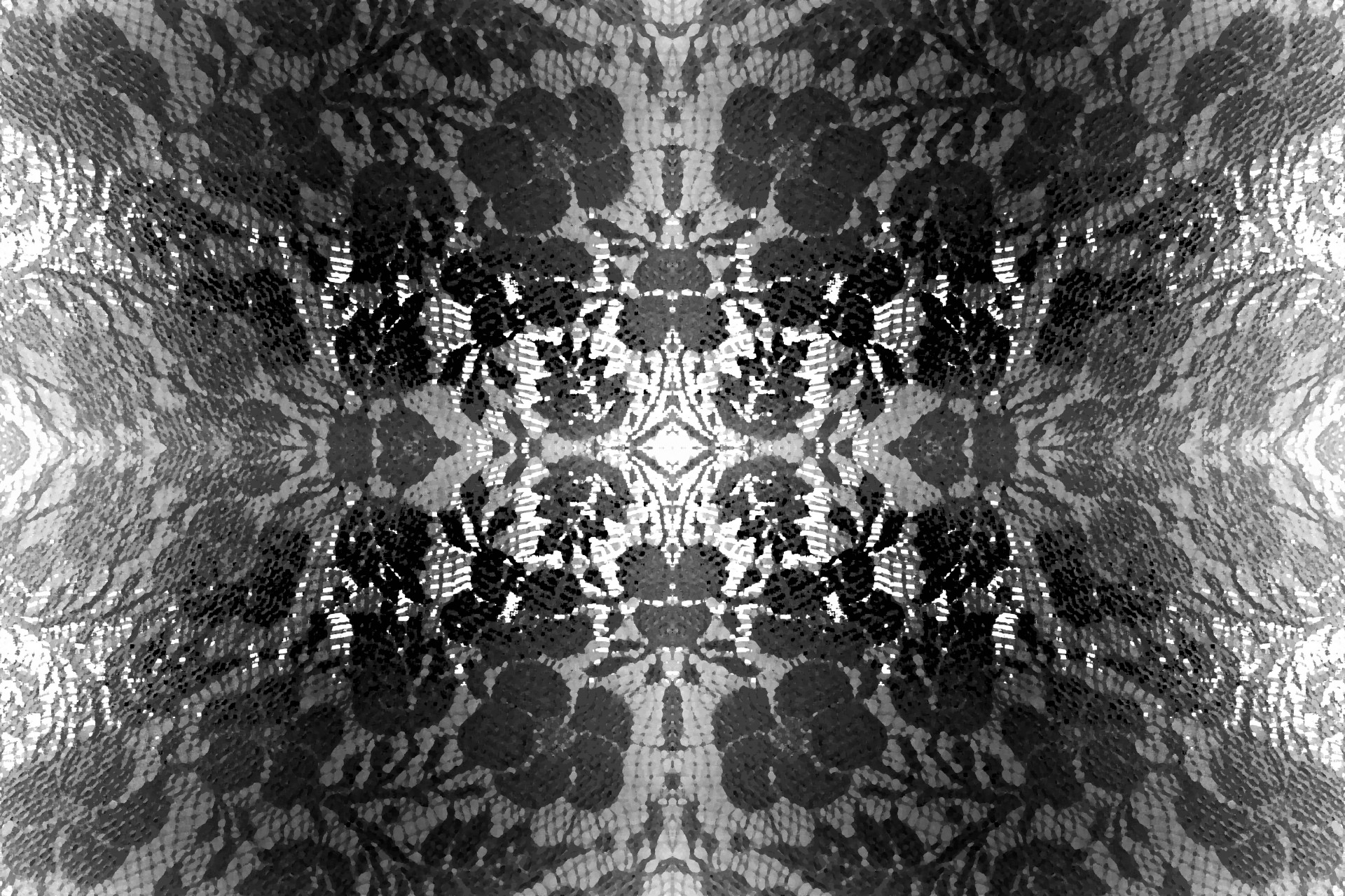 lace pattern black free photo