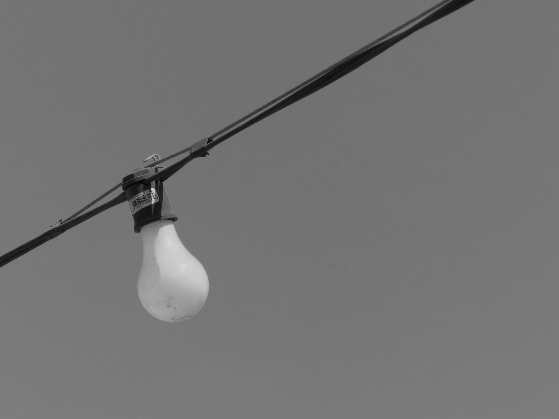 lightbulb light bulb black white free photo