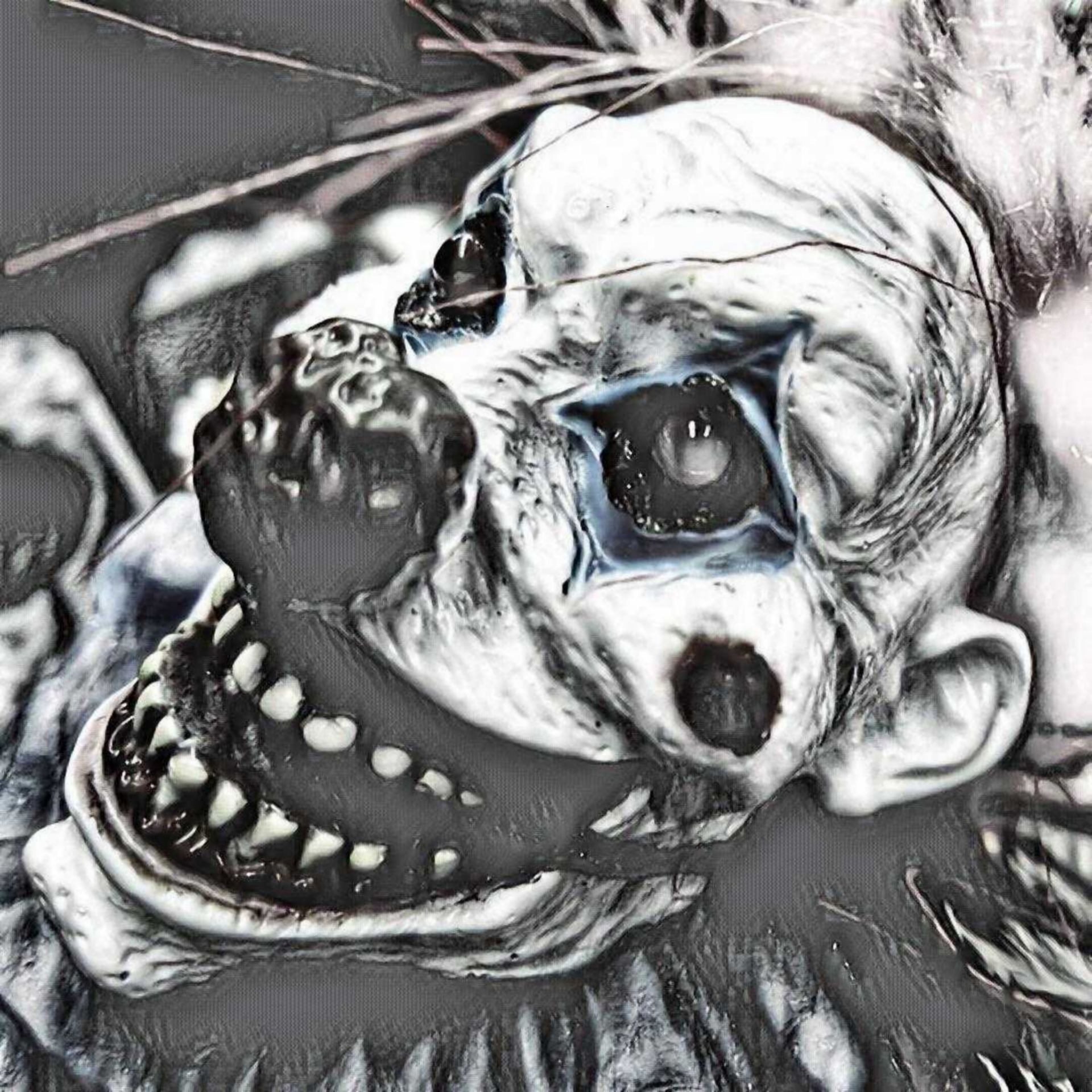 black white clown free photo