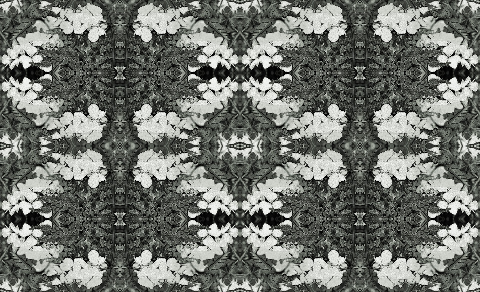 pattern repeat black free photo