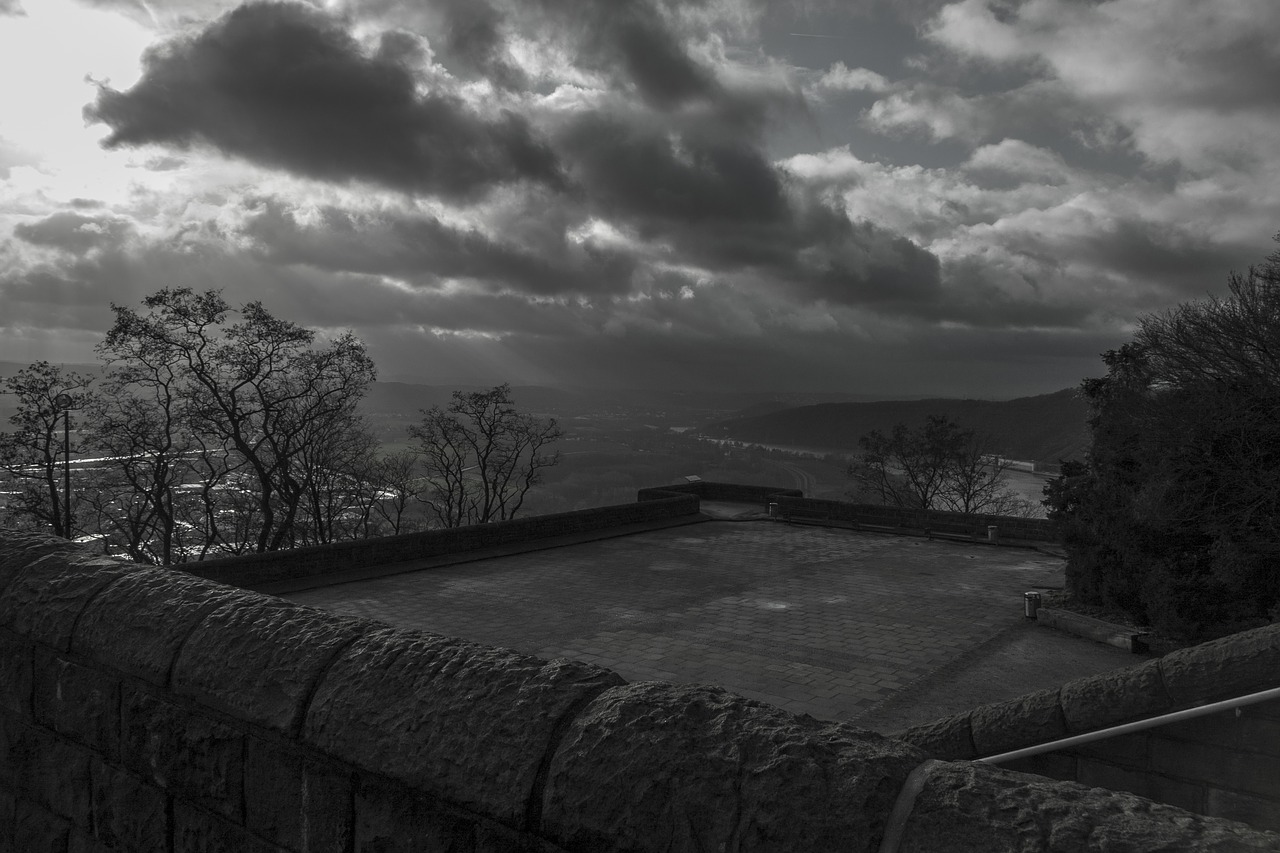 black and white photography panorama tree free photo