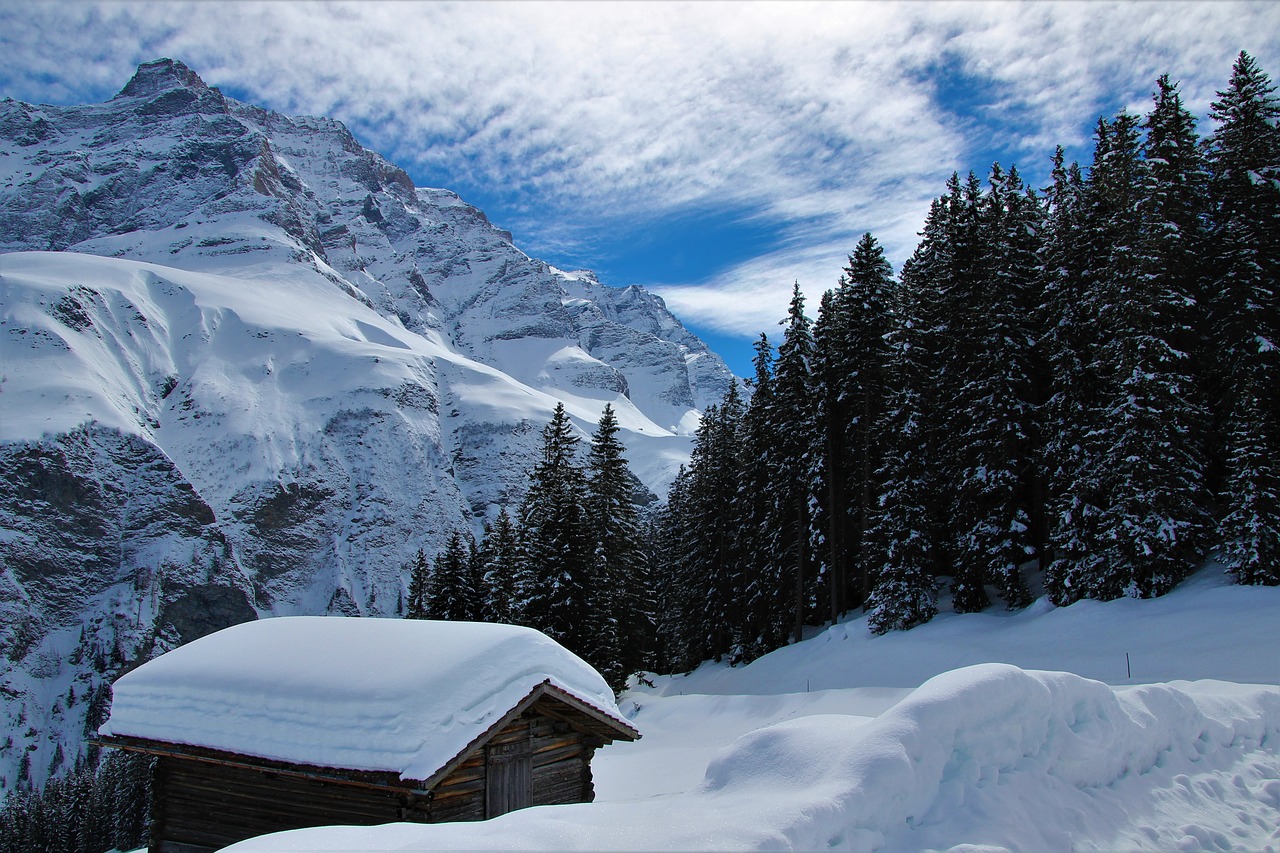 black and white photography snow mountain free photo