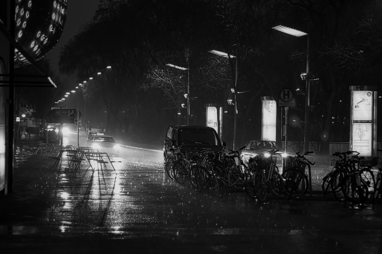 black and white photography  rain  light free photo