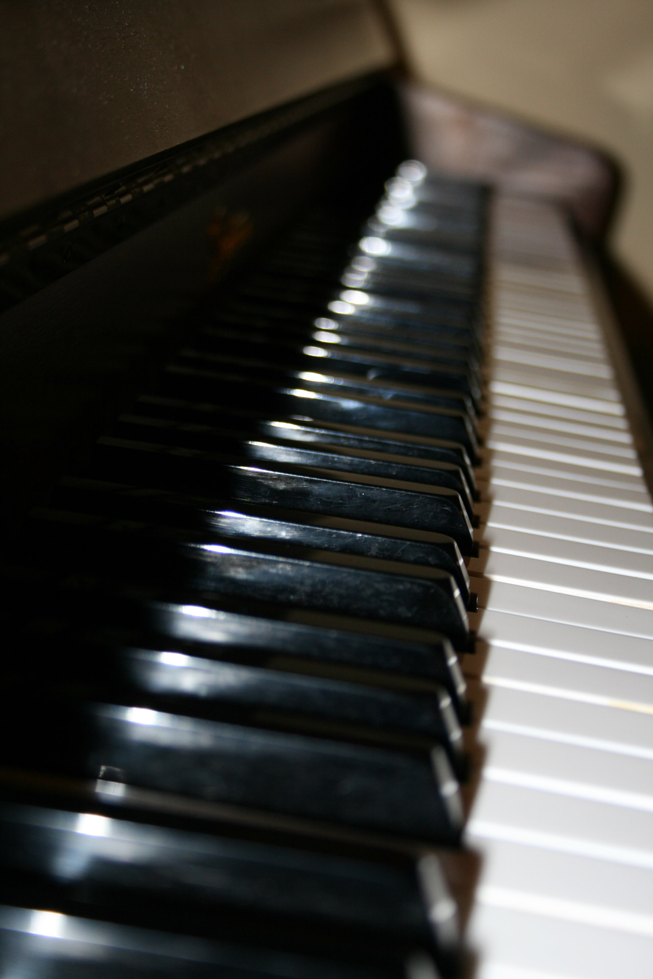 instrument musical piano free photo