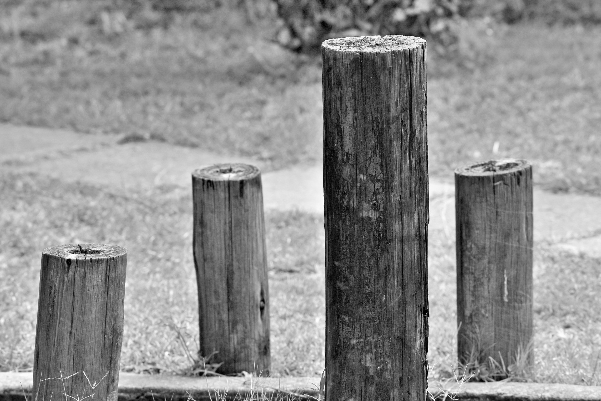 poles wooden short free photo