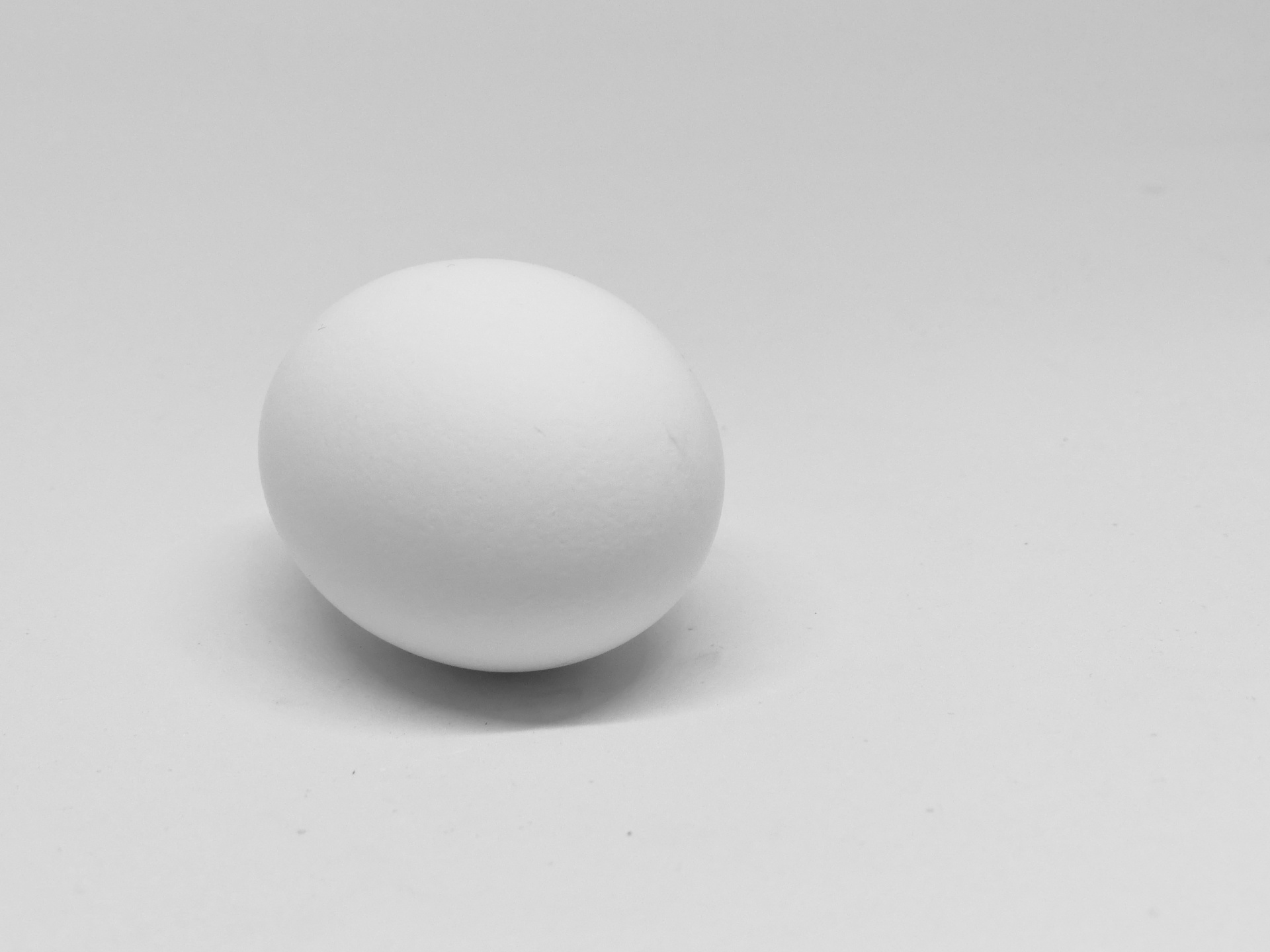 one egg monochrome black white free photo