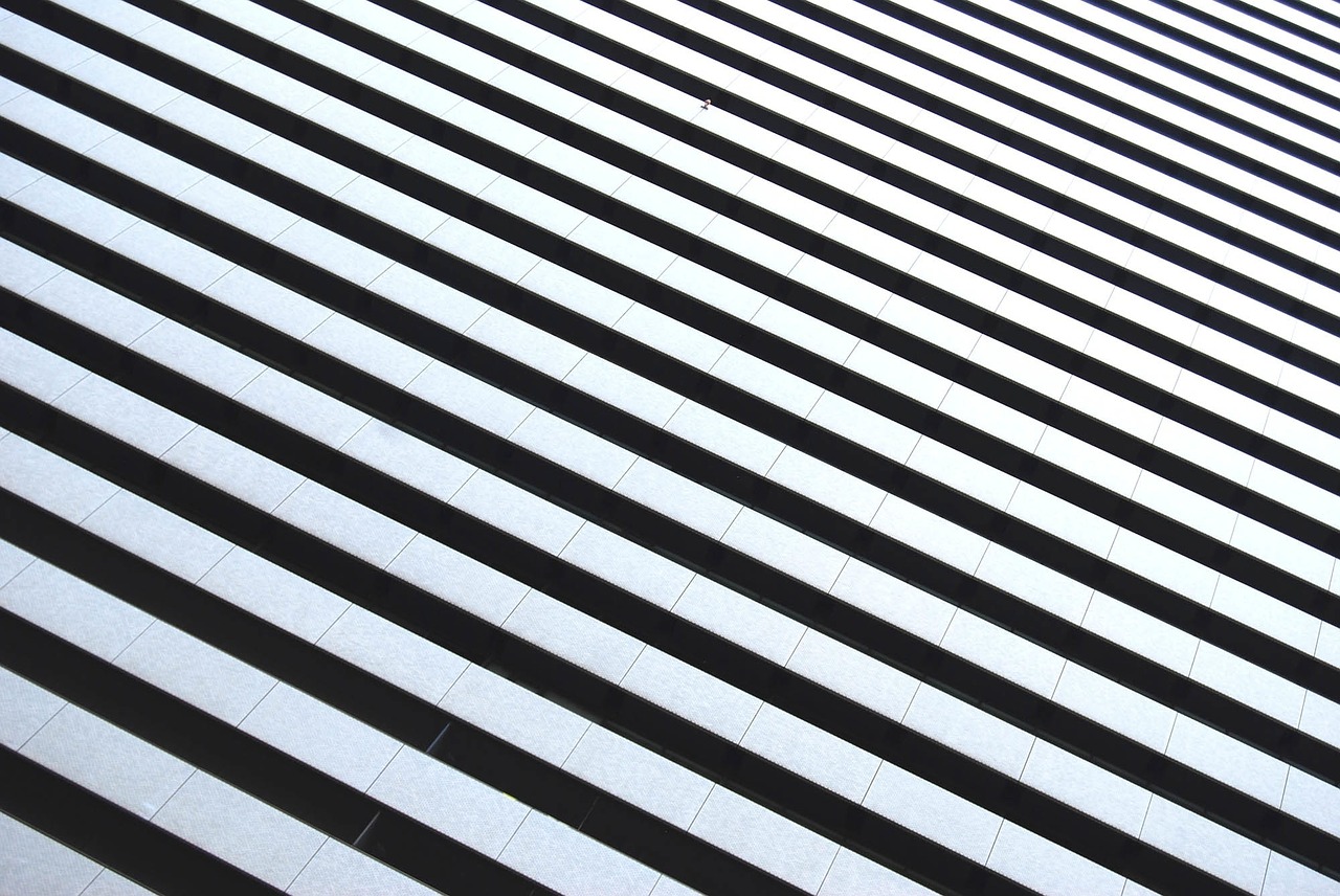black and white stripes zebra stripes stripe free photo