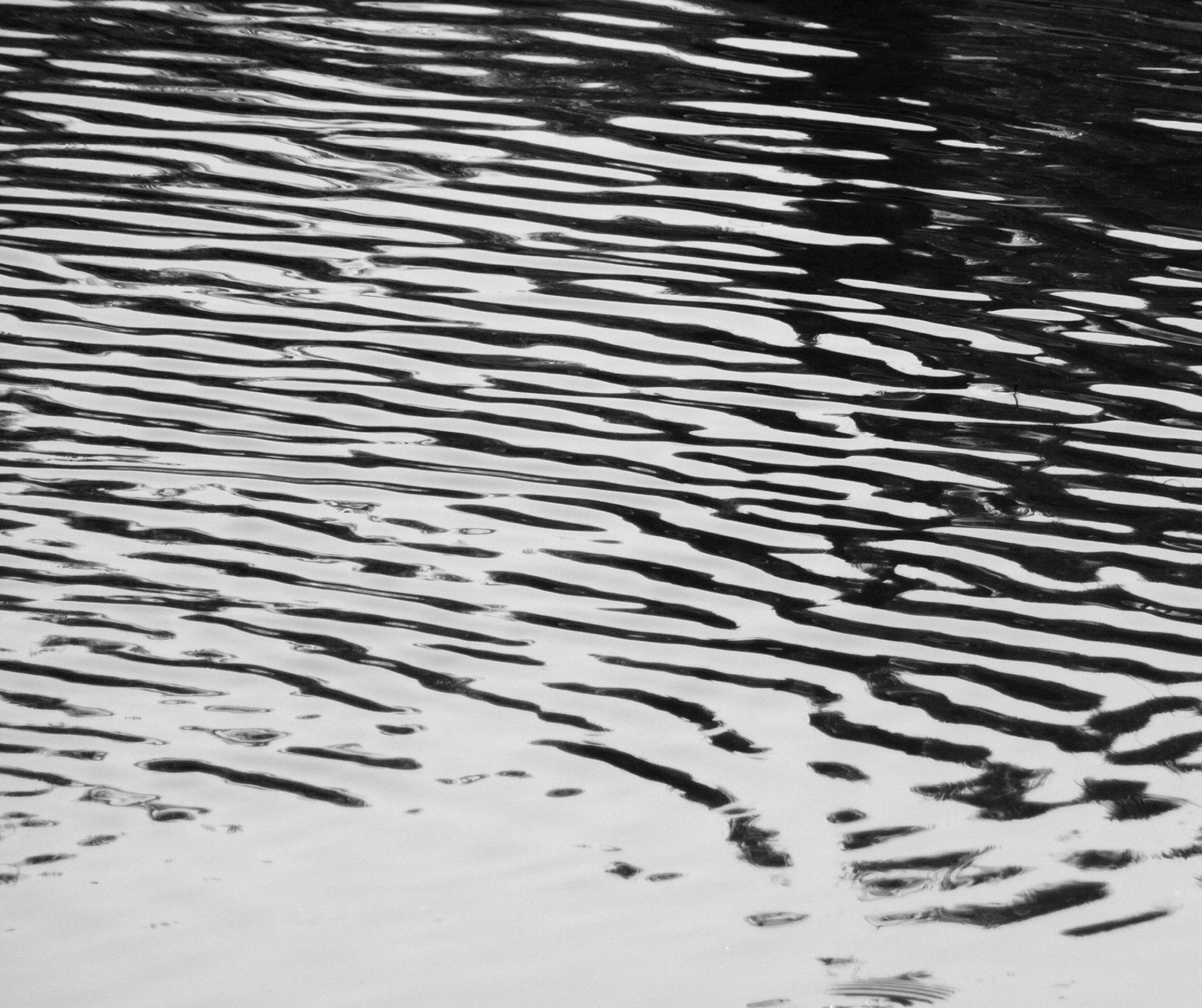 Black Water Free Stock Photo - Public Domain Pictures