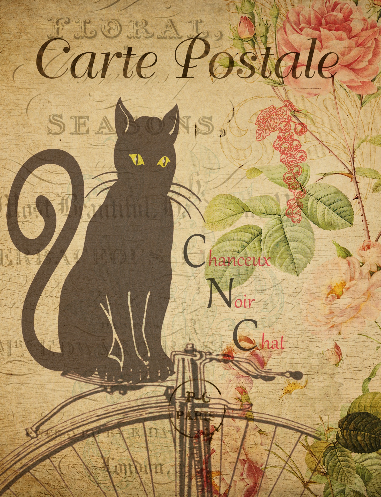 cat black postcard free photo