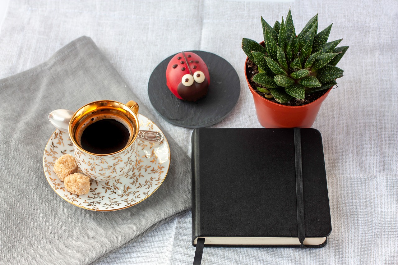 black coffee  succulent  notebook free photo