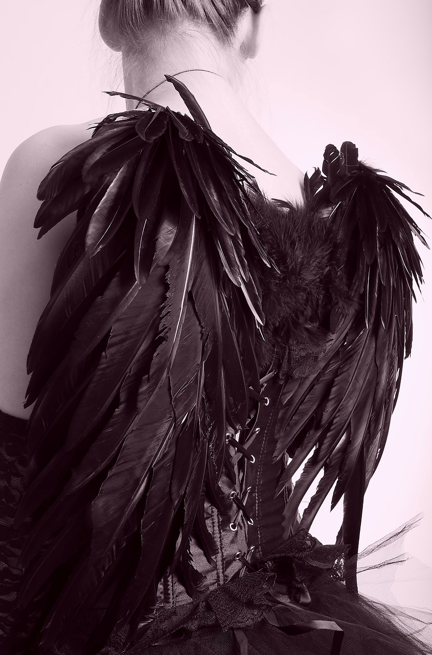 black engel wing feather free photo