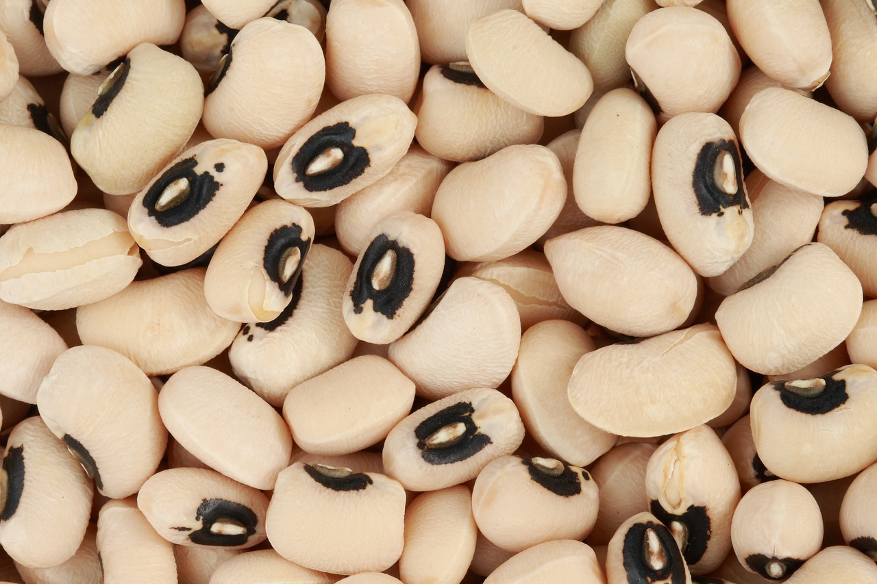 black eyed peas  beans  food free photo