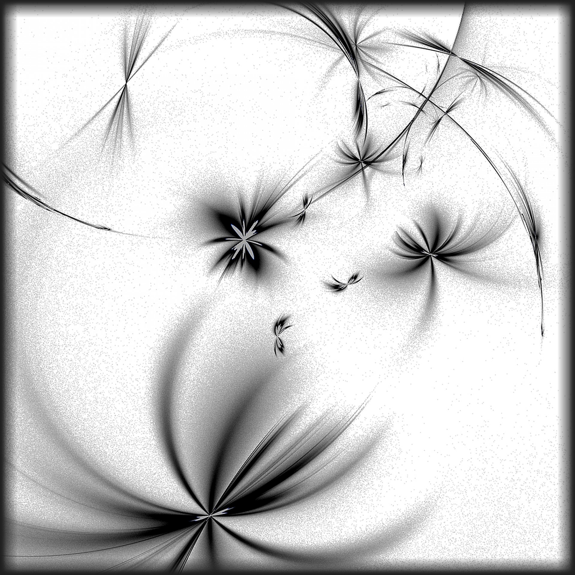 fractal black feathers free photo