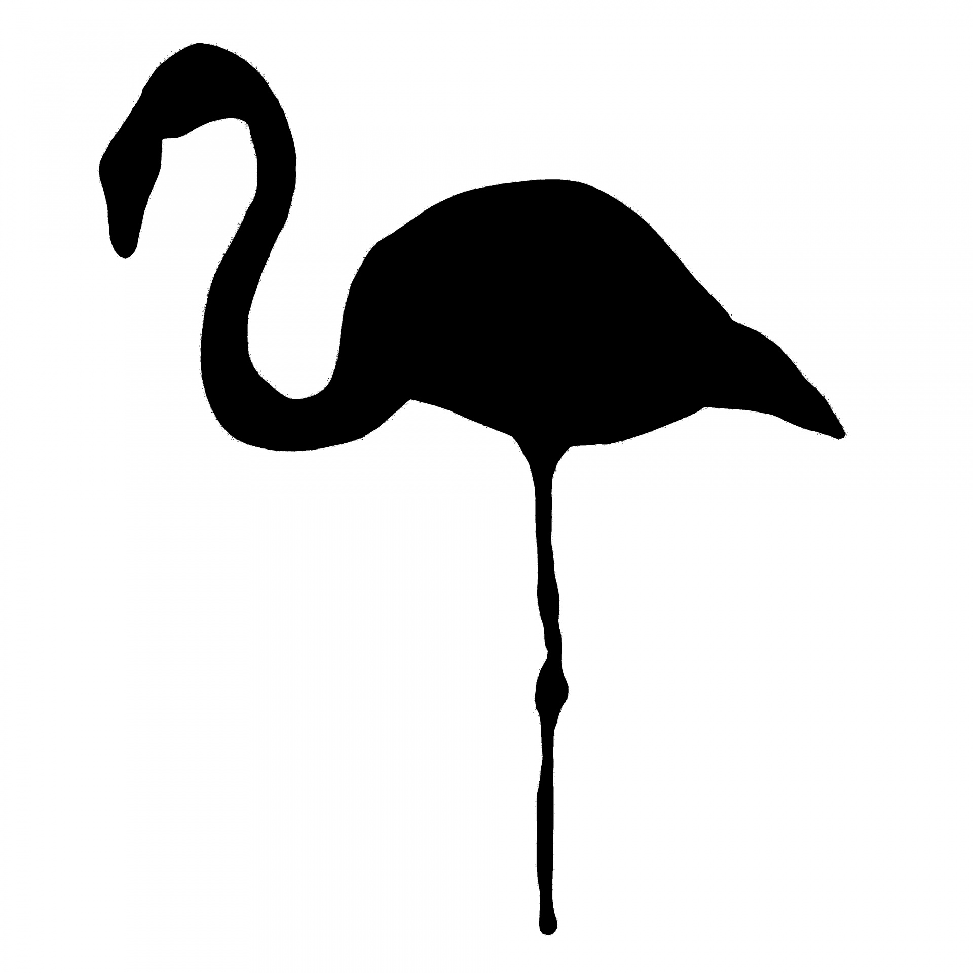 black silhouette flamingo free photo