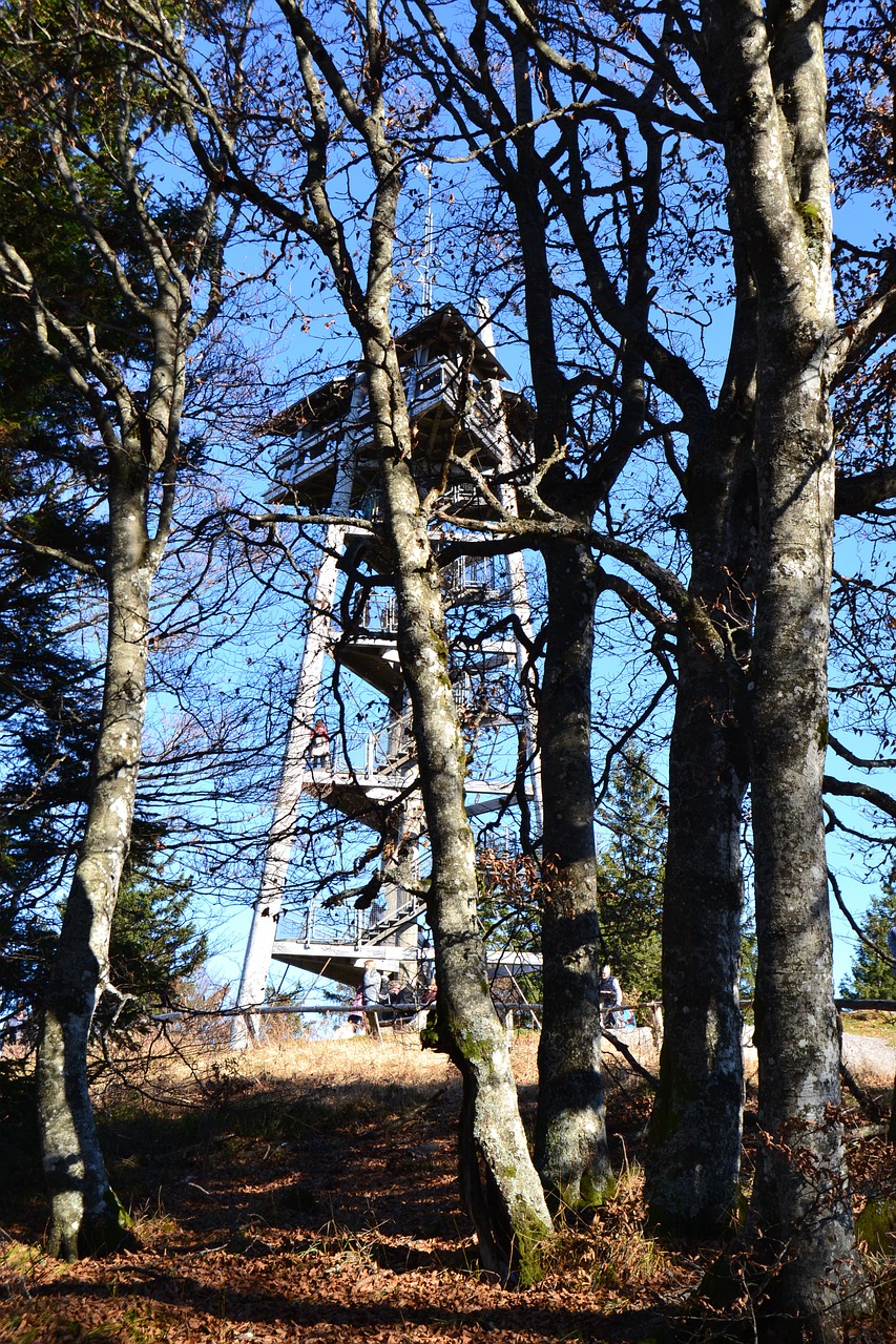 black forest freiburg schauinsland tower free photo