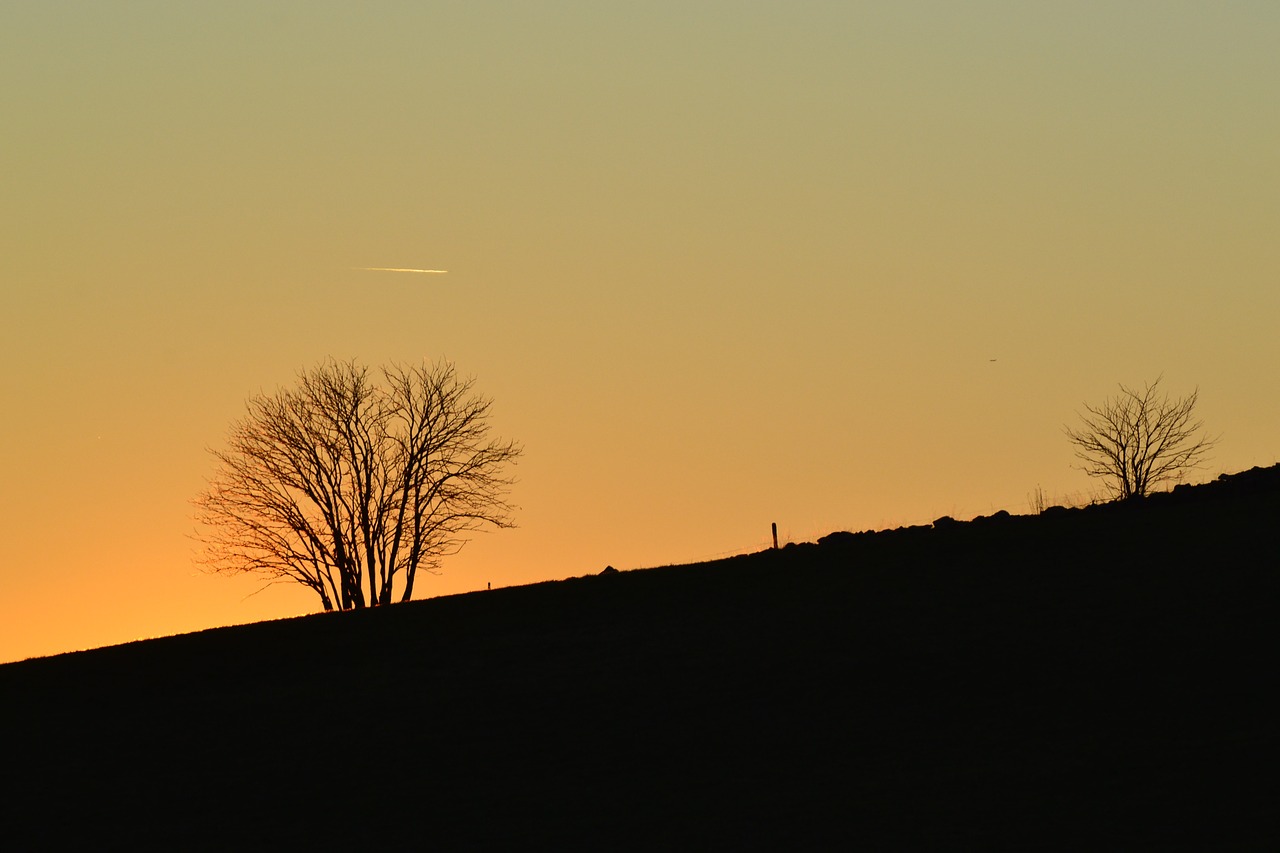 black forest freiburg schauinsland free photo