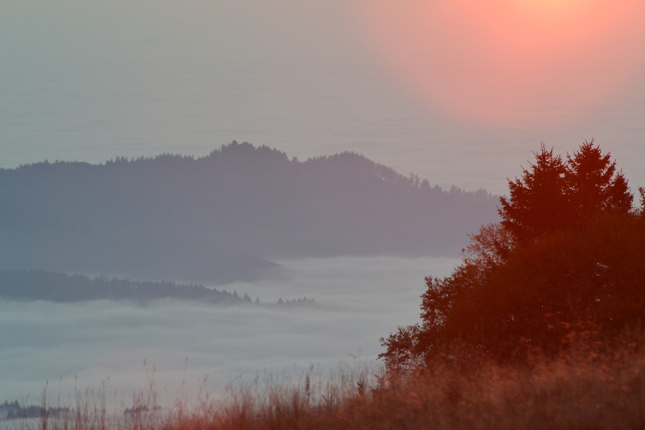 black forest freiburg schauinsland free photo