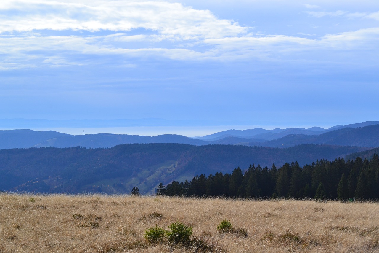 black forest feldberg view free photo