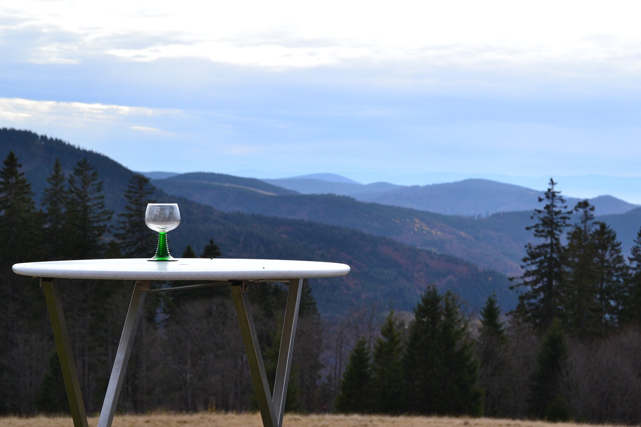 black forest feldberg view free photo