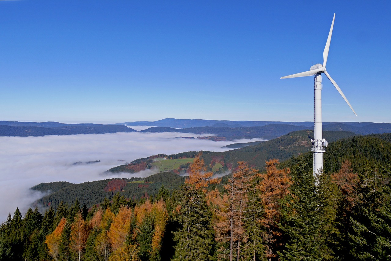 black forest fall color herbstnebel free photo