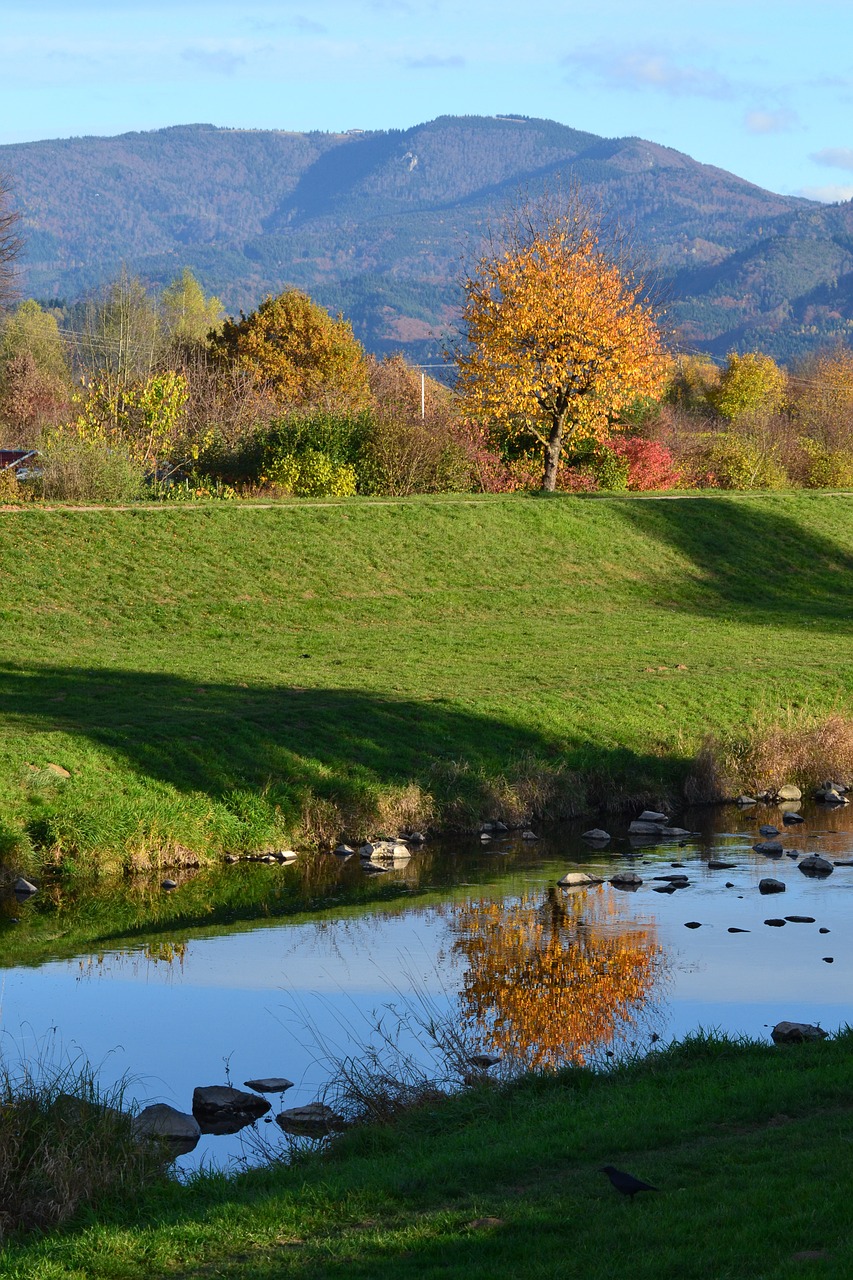 black forest emmendingen elz free photo