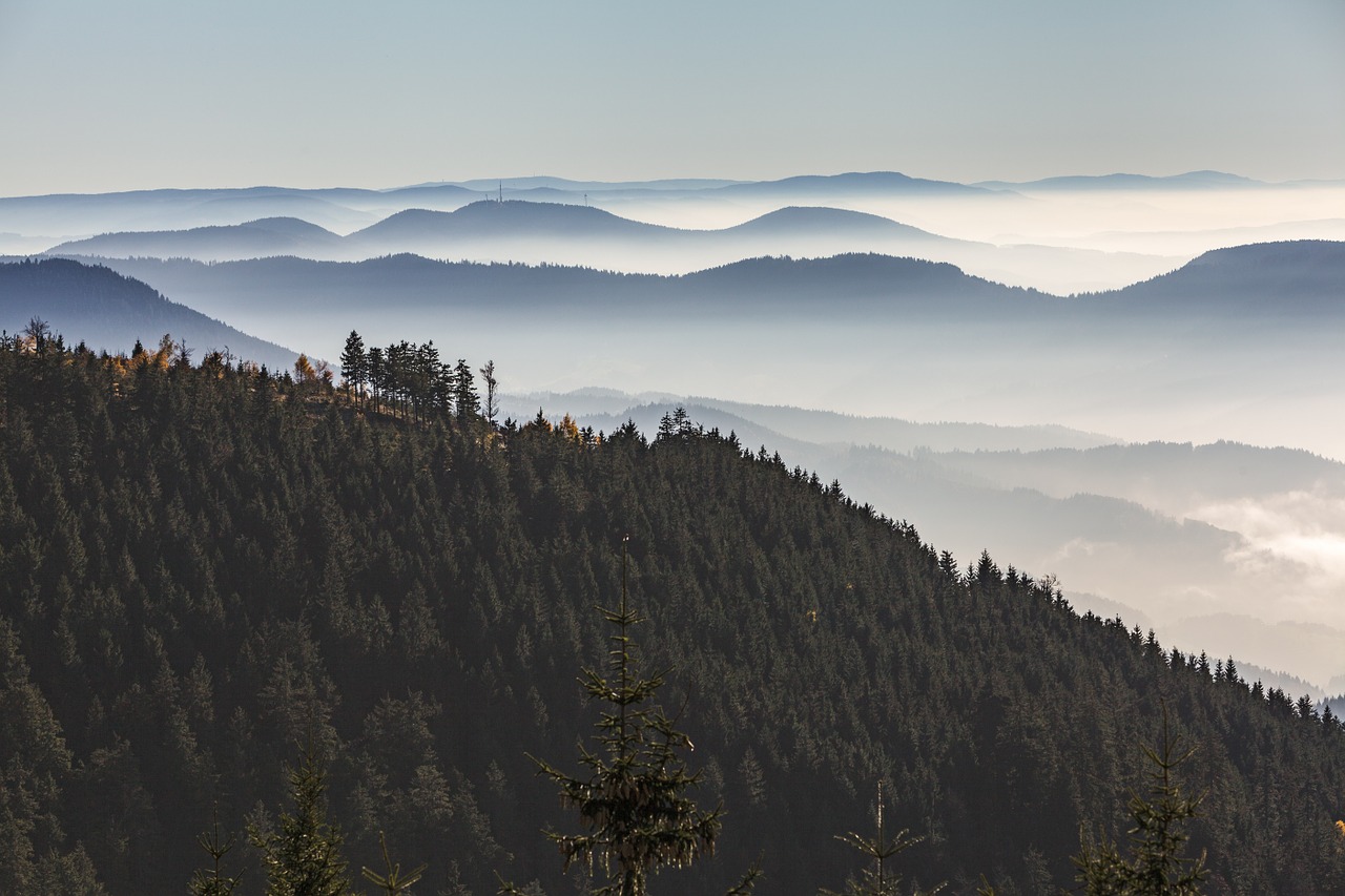 black forest grinding head panorama free photo