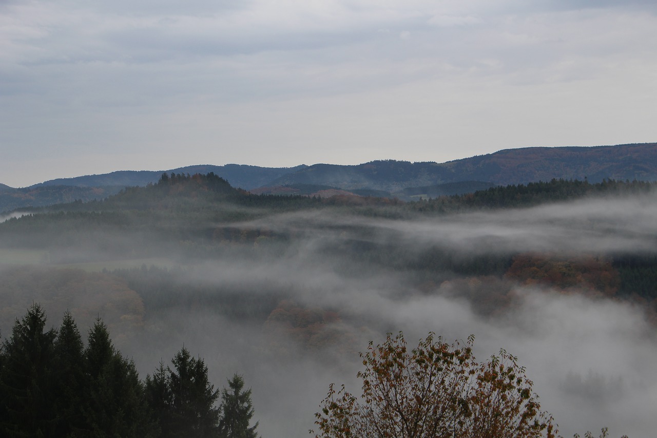 black forest autumn landscape free photo