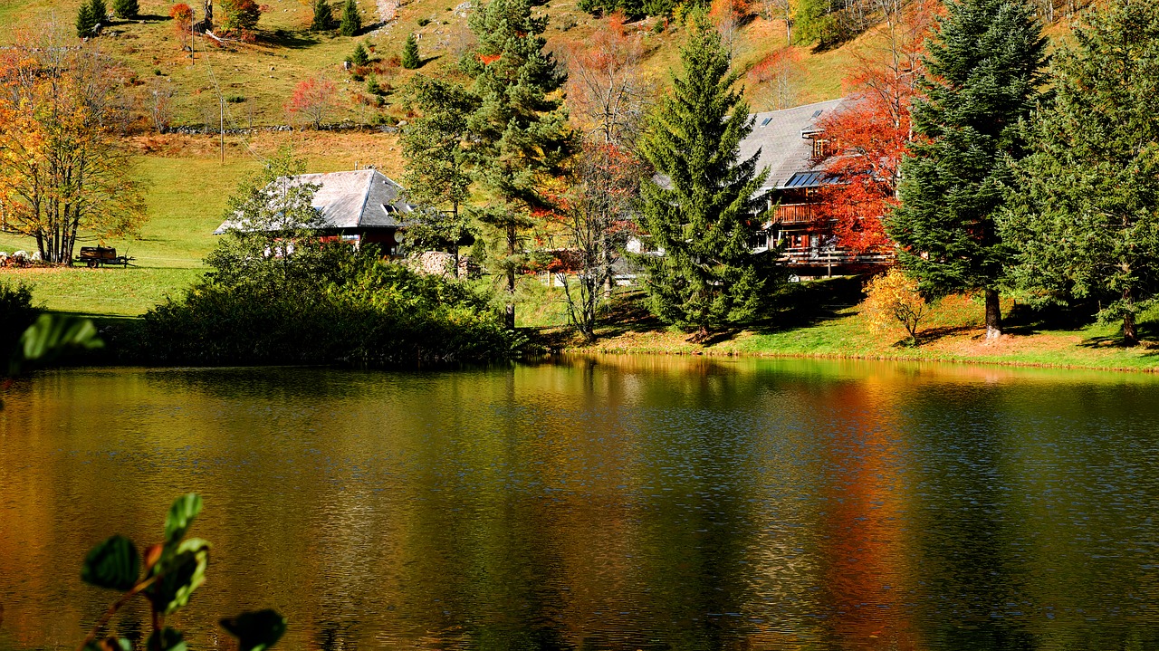 black forest dobelsee lake free photo