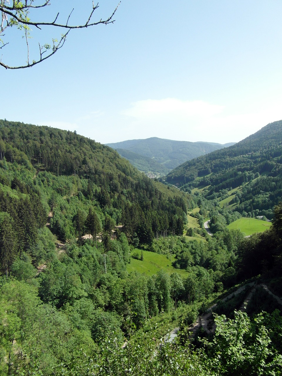 black forest valley outlook free photo
