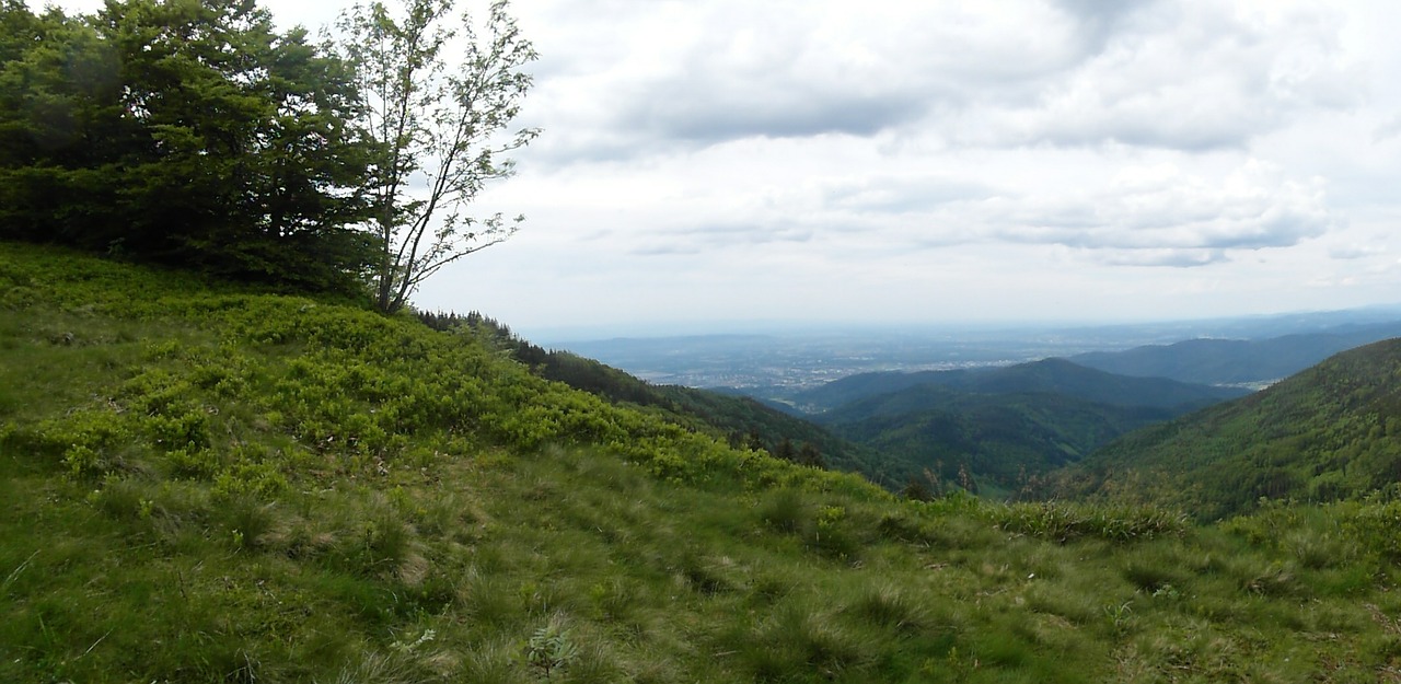 black forest hill rhine valley free photo