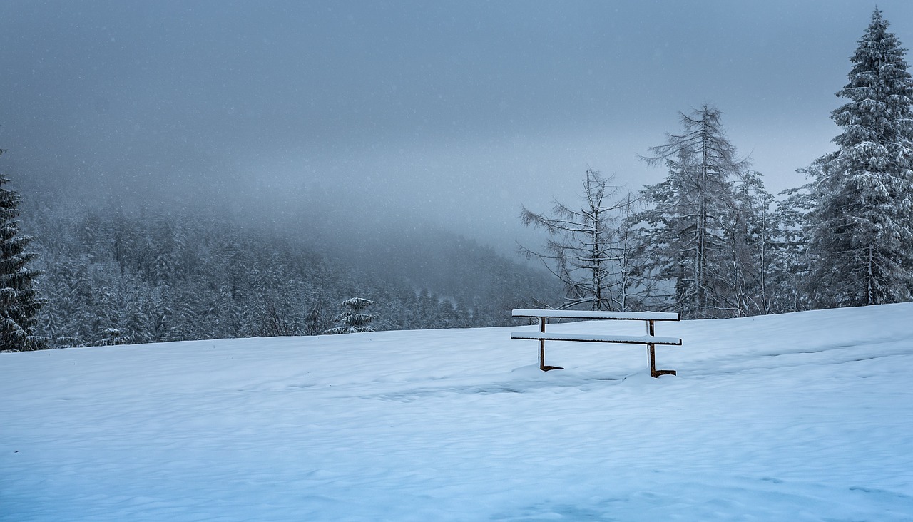 black forest  winter mood  bank free photo