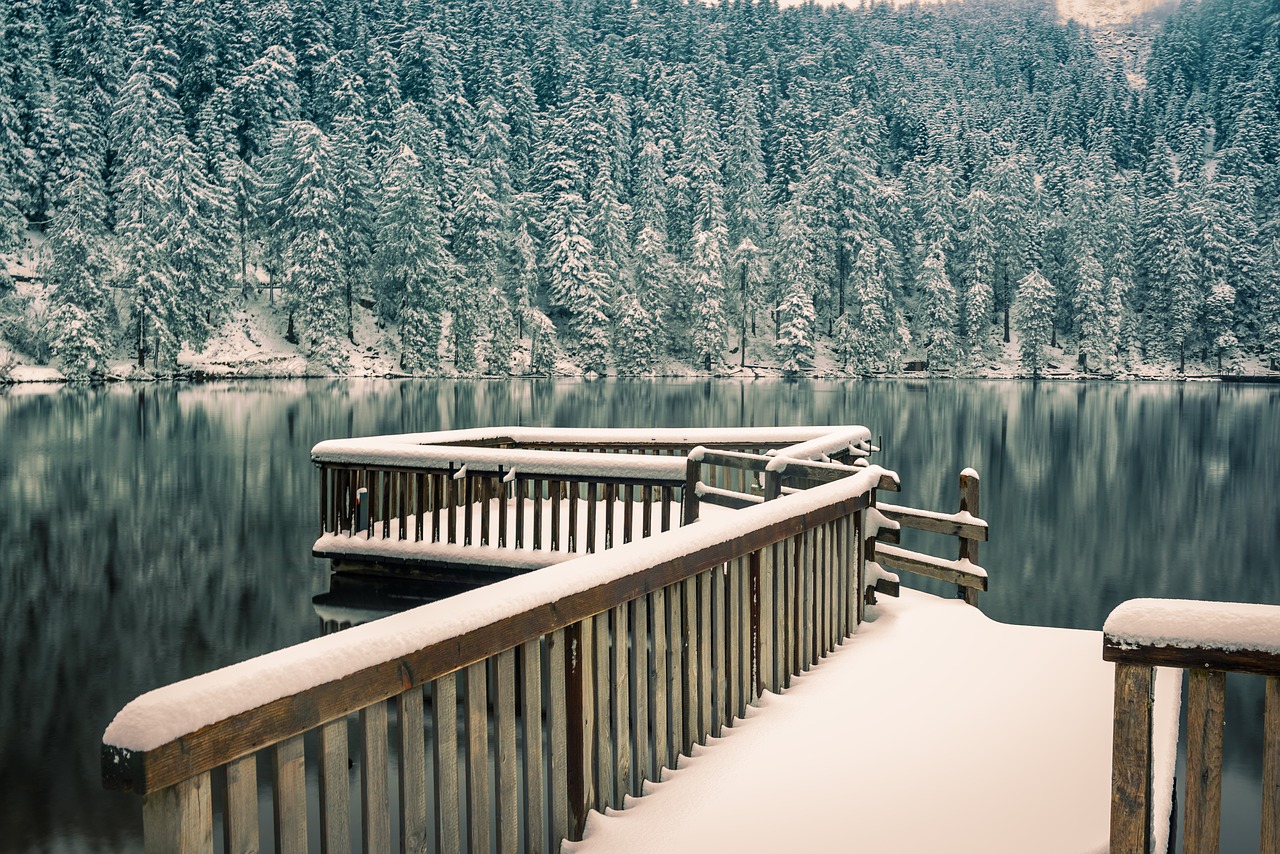 black forest  waldsee  winter free photo