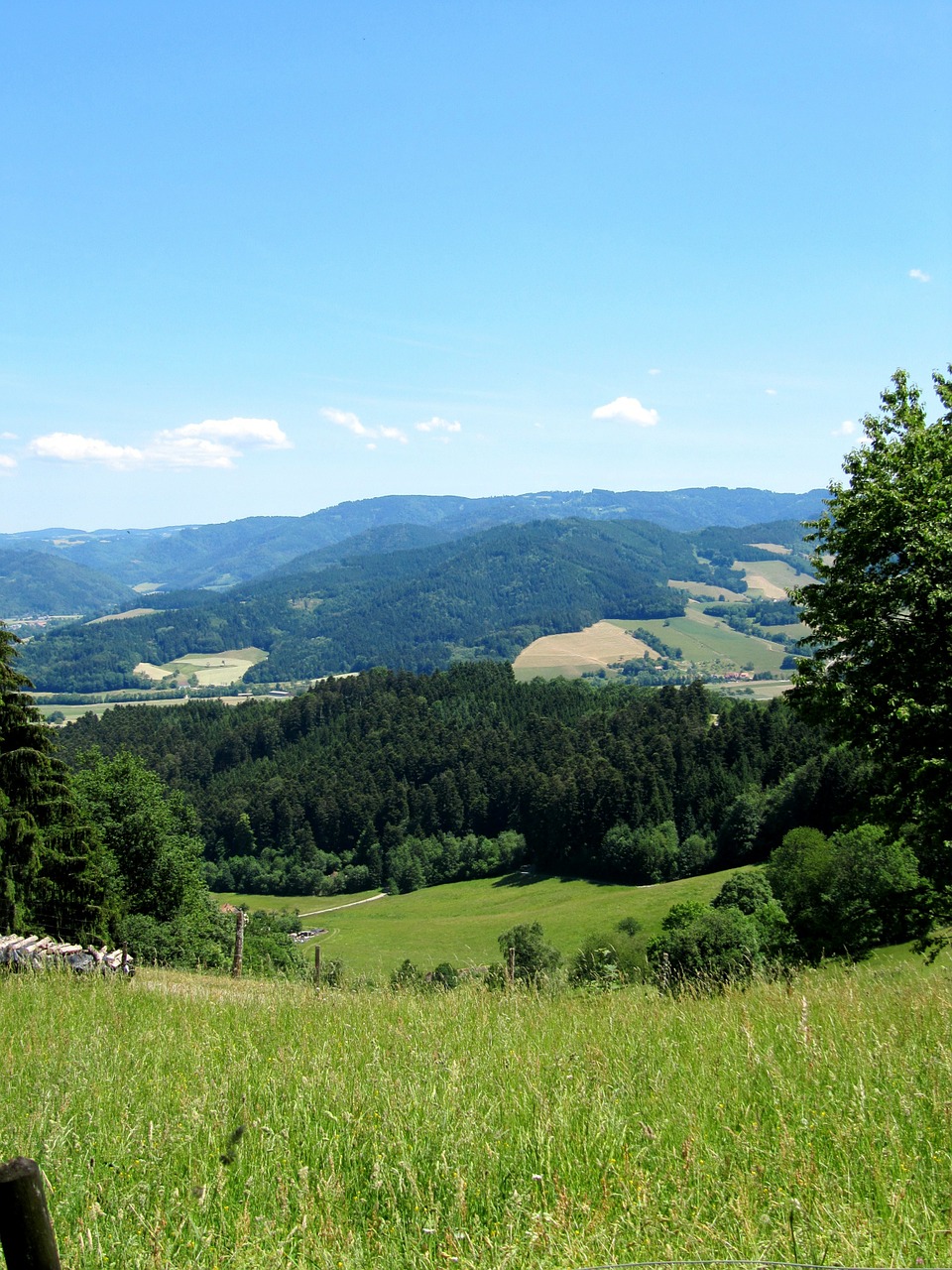 black forest view landscape free photo