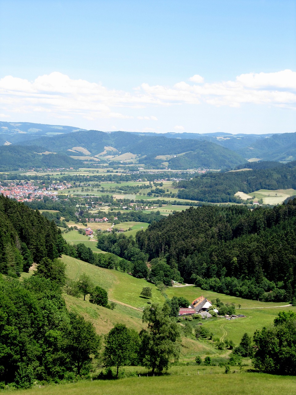 black forest view landscape free photo