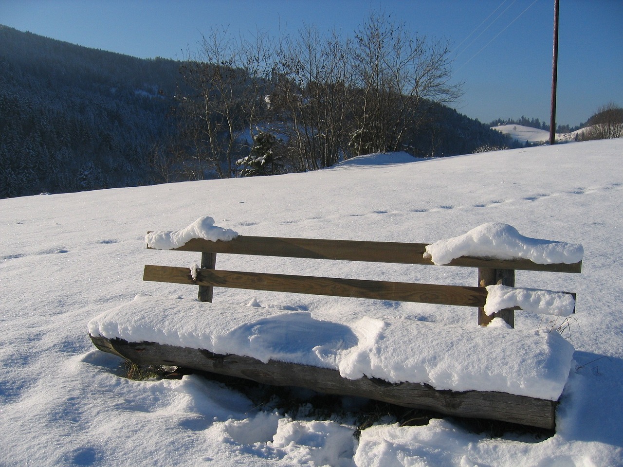 black forest bank winter free photo