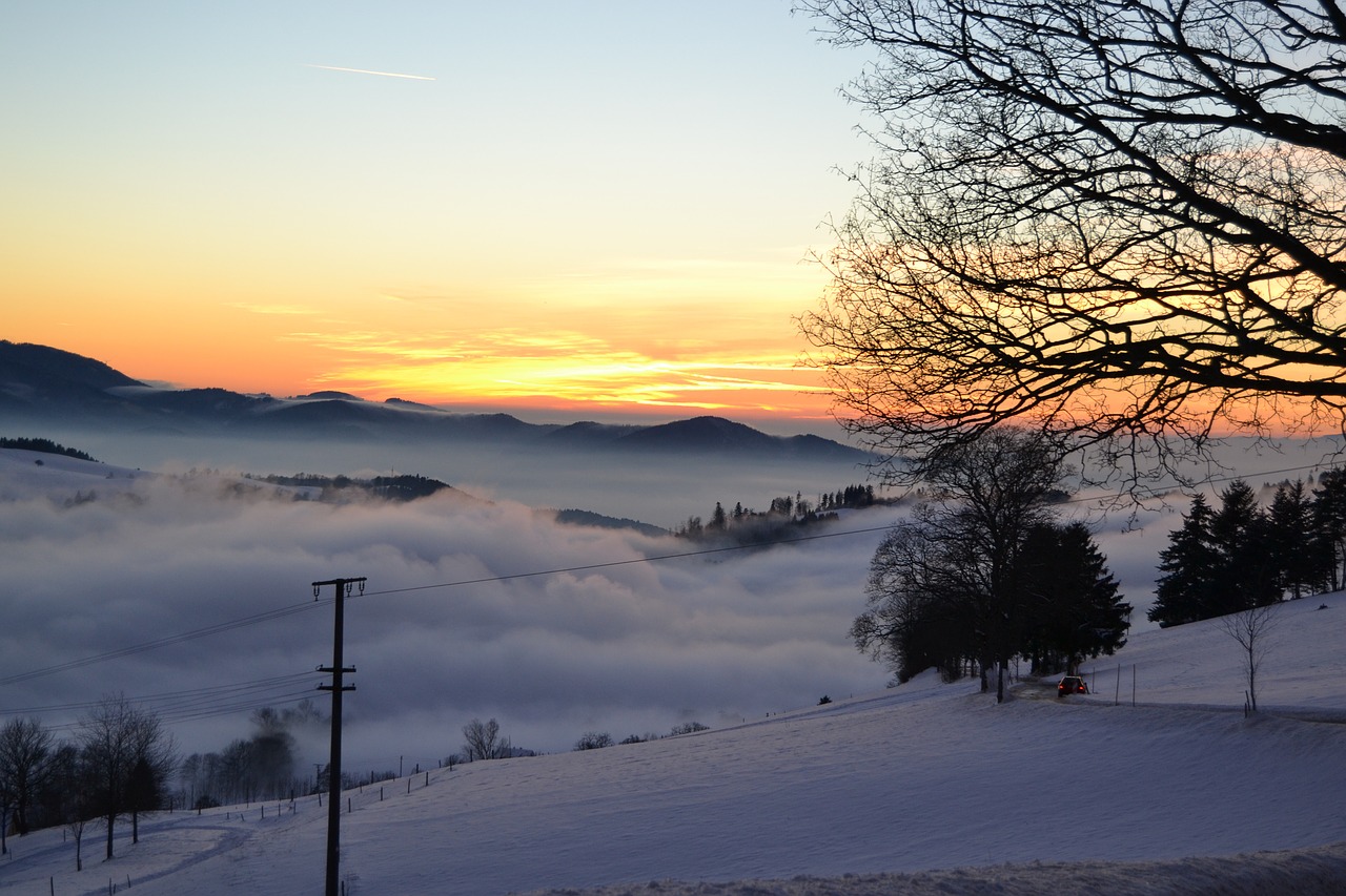 black forest rhine valley winter free photo